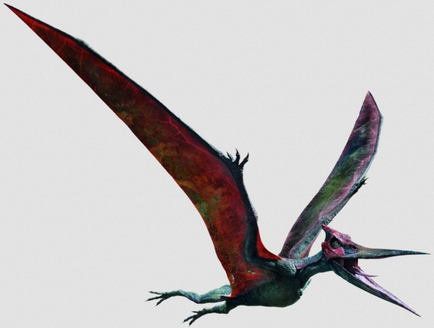 Crested pterodactyl inspires aircraft design