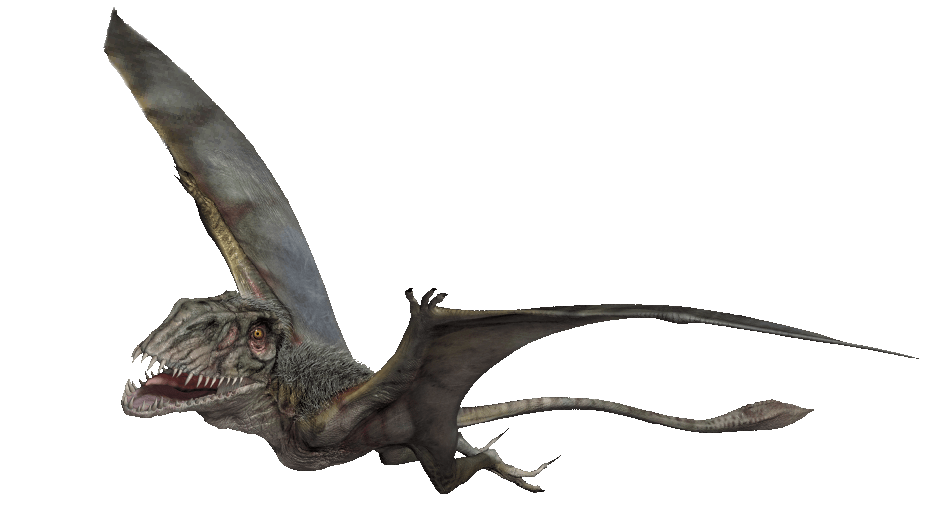 Dimorphodon Macronyx Sf Jurassic Pedia 