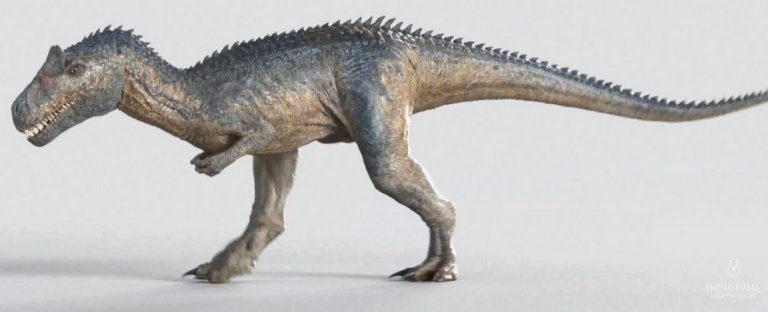 Allosaurus jimmadseni (S/F) / (S/F-JWE) – Jurassic-Pedia