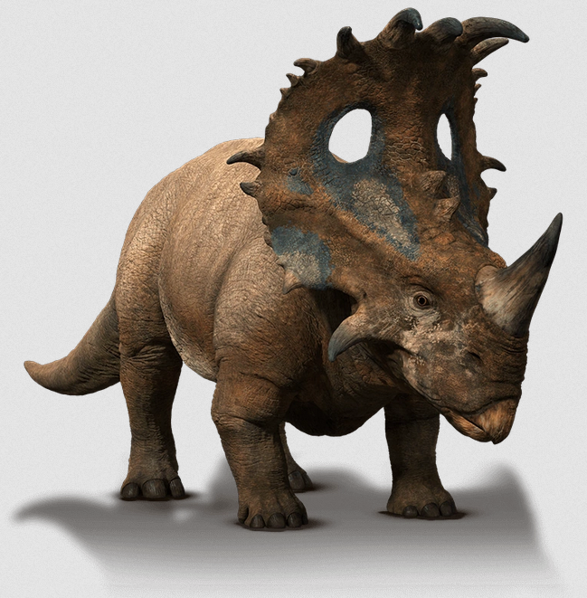 Sinoceratops zhuchengensis (S/F) – Jurassic-Pedia