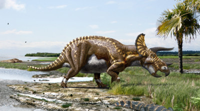 Triceratops_Csotonyi.jpg