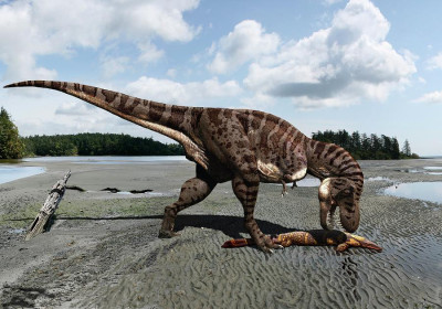 1-tyrannosaurus-rex-dinosaur-julius-t-csotonyiscience-photo-library.jpg