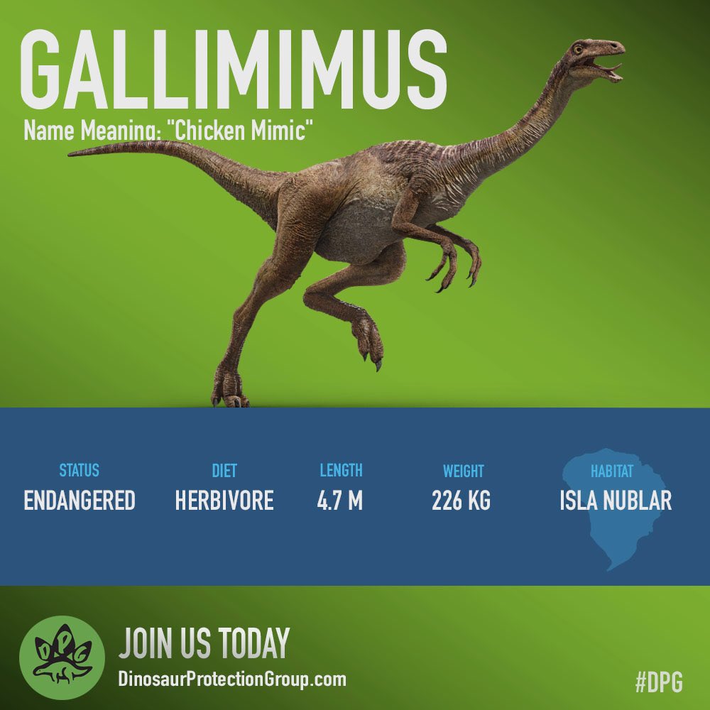 Gallimimus Size